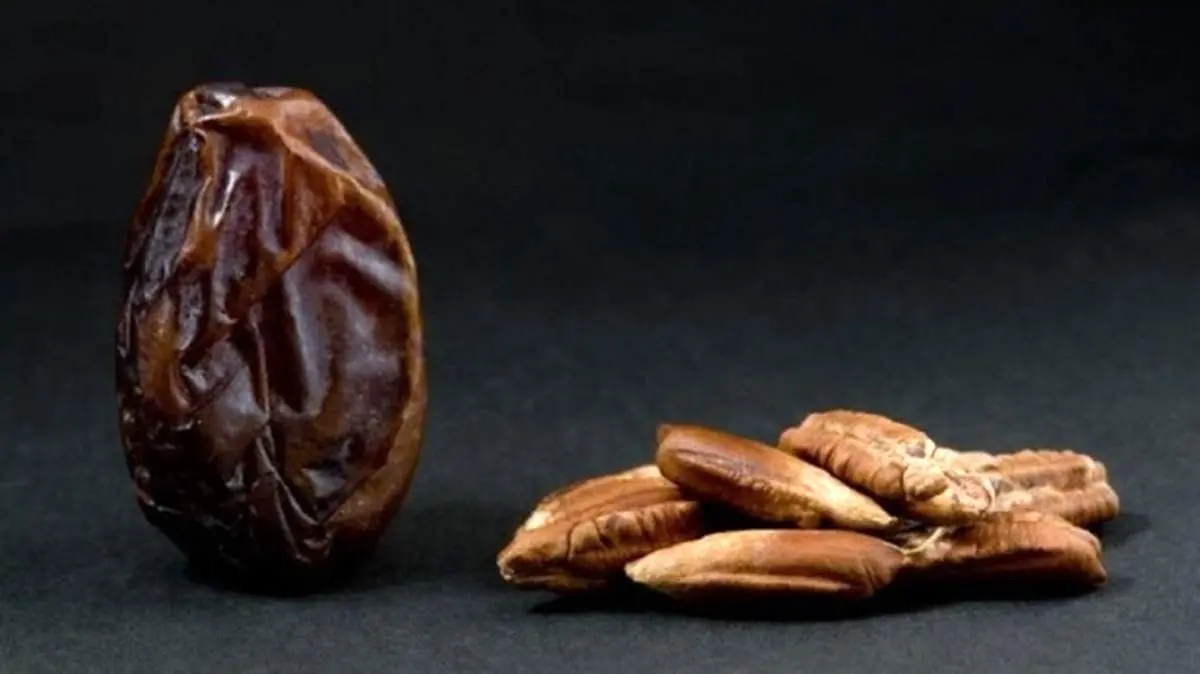 فواید هسته خرما برای بیماران دیابتی