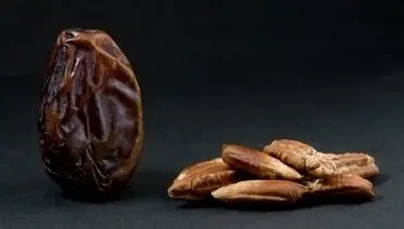 فواید هسته خرما برای بیماران دیابتی