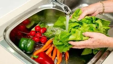 باید و نباید‌های شستشوی مواد غذایی