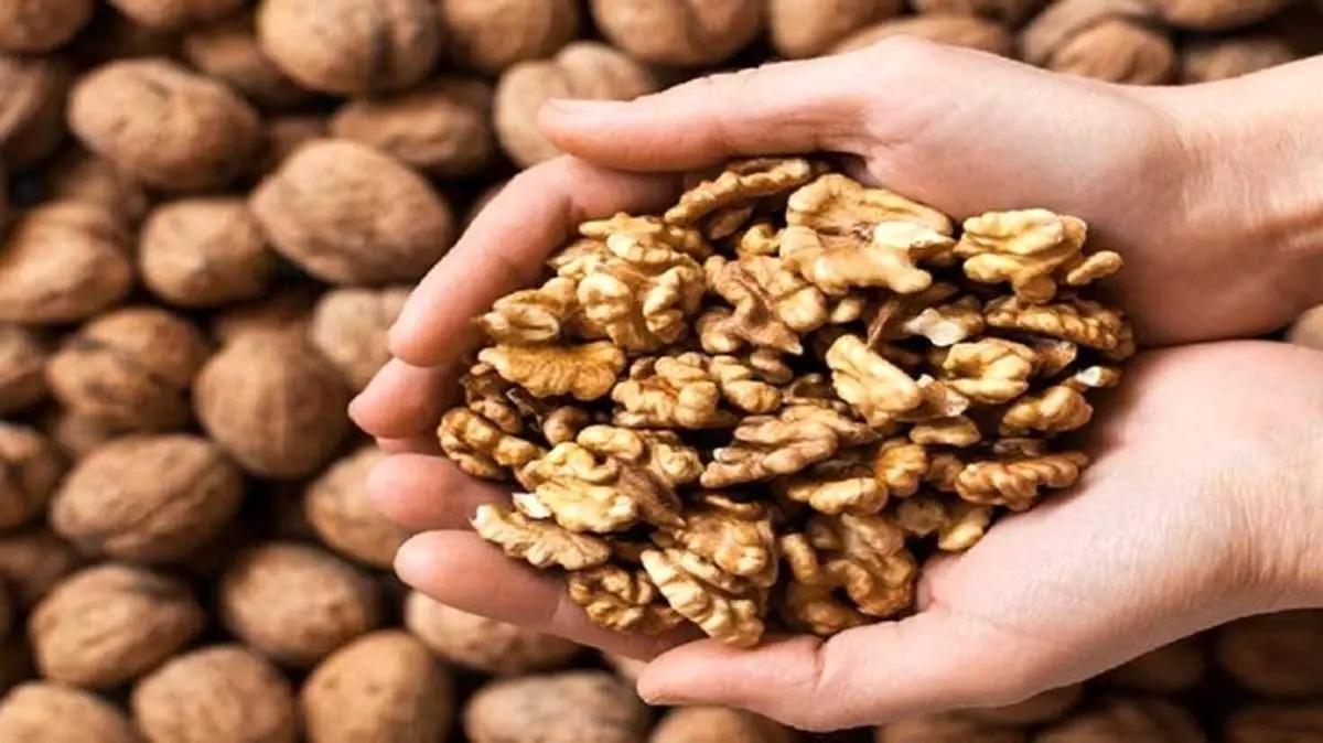 خواص بی نظیر گردو برای سلامتی بدن