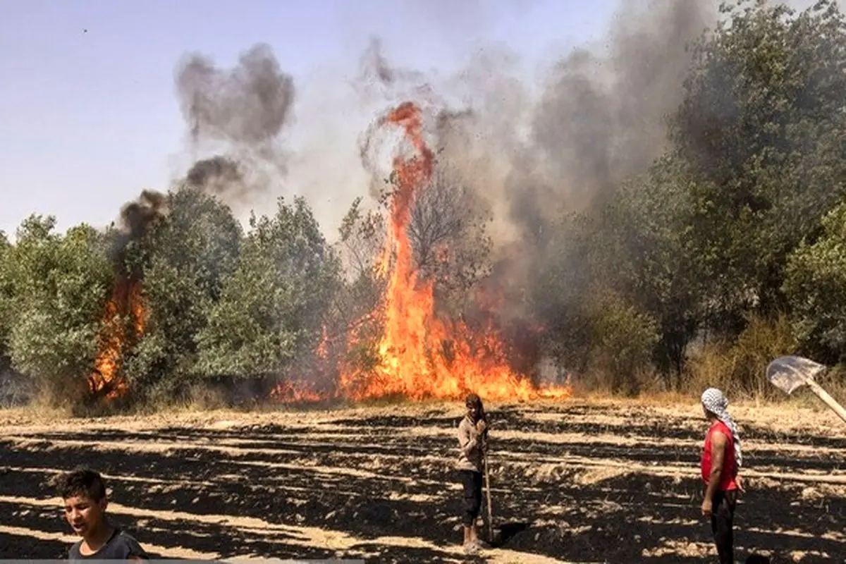 آتش سوزی مجدد در جنگل‌های کرخه شوش