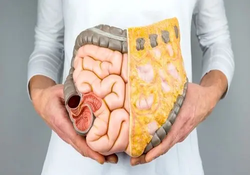 برای جلوگیری از سنگ کیسه صفرا چی بخوریم؟

