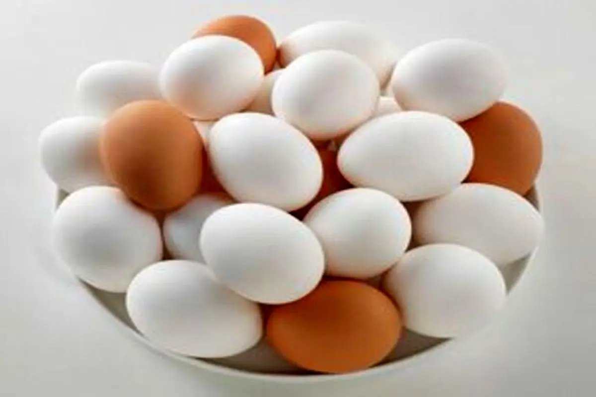 زیان ۷ هزار تومانی مرغداران در فروش هر کیلو تخم‌مرغ