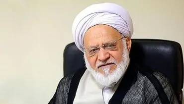 مصباحی‌ مقدم: برخی فقط به شورای نگهبان نِق می‌زنند