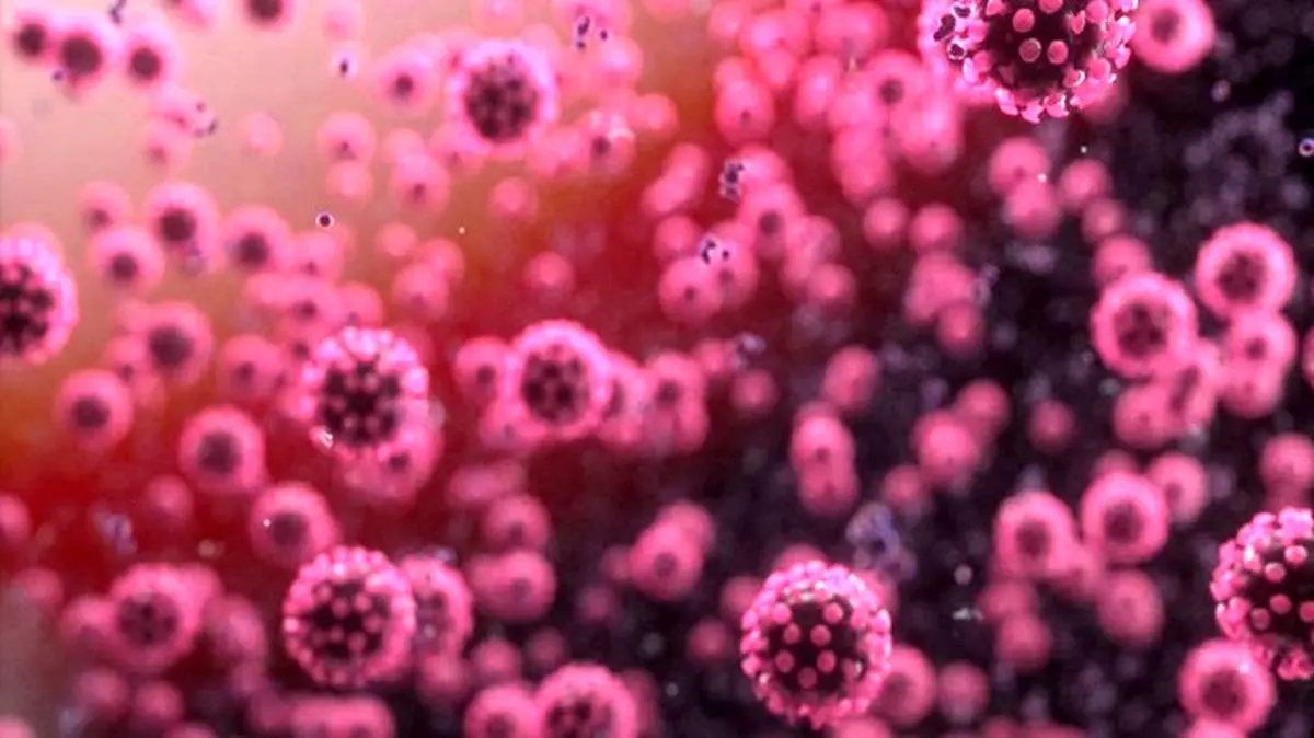 تولید دارویی که در برابر گونه‌های مختلف کرونا موثر است