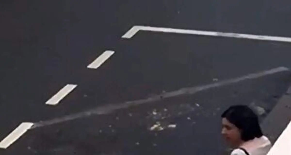 خلع سلاح فوق العاده زن مسلح توسط پلیس فرانسوی + فیلم