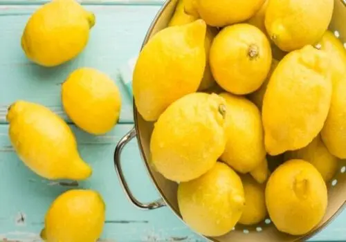 باقیمانده هر نوع غذا را چگونه نگهداری کنیم؟