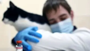 واکسیناسیون کرونایی حیوانات خانگی در روسیه