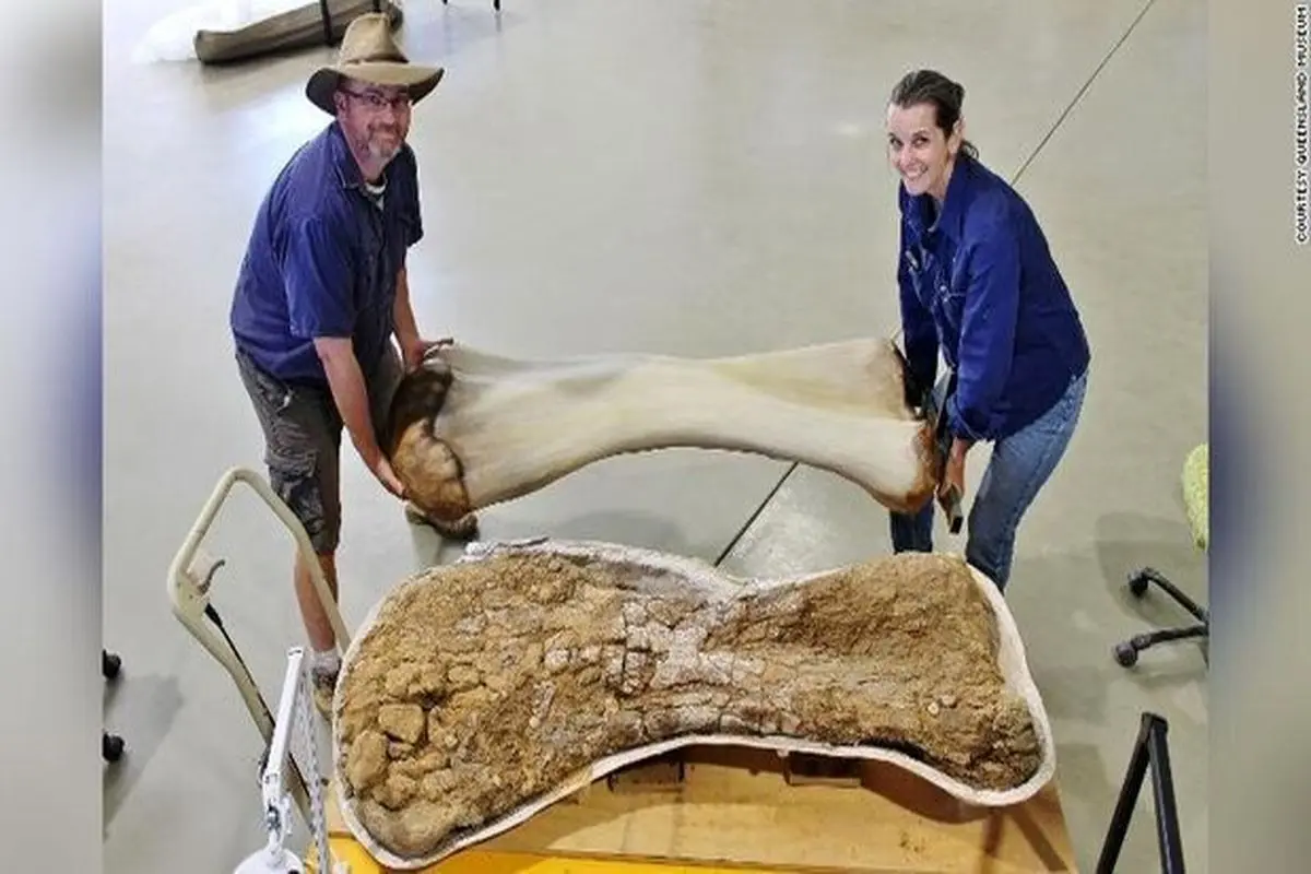 بزرگ‌ترین دایناسور استرالیا با بدنی به اندازه یک زمین بسکتبال کشف شد + فیلم و عکس