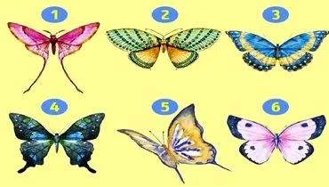 با انتخاب یکی از پروانه ها به شخصیت خود پی ببرید + تصاویر