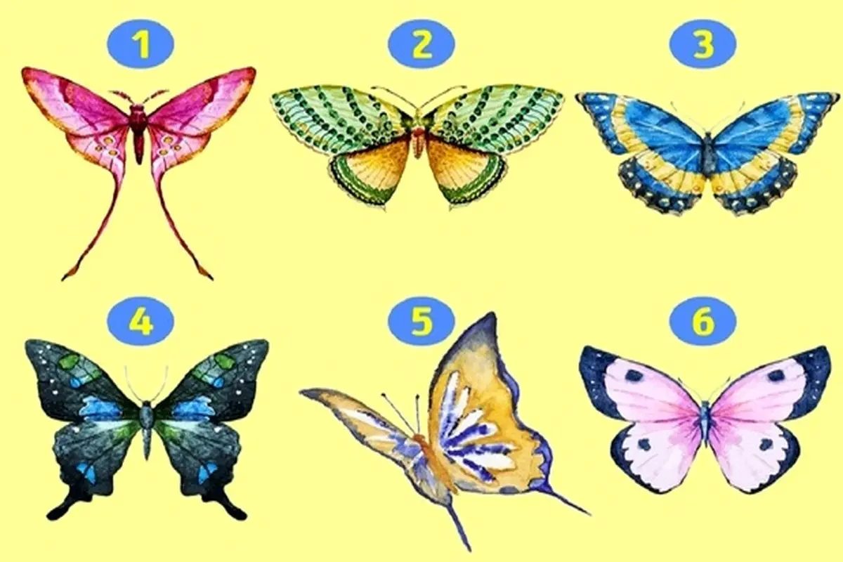 با انتخاب یکی از پروانه ها به شخصیت خود پی ببرید + تصاویر