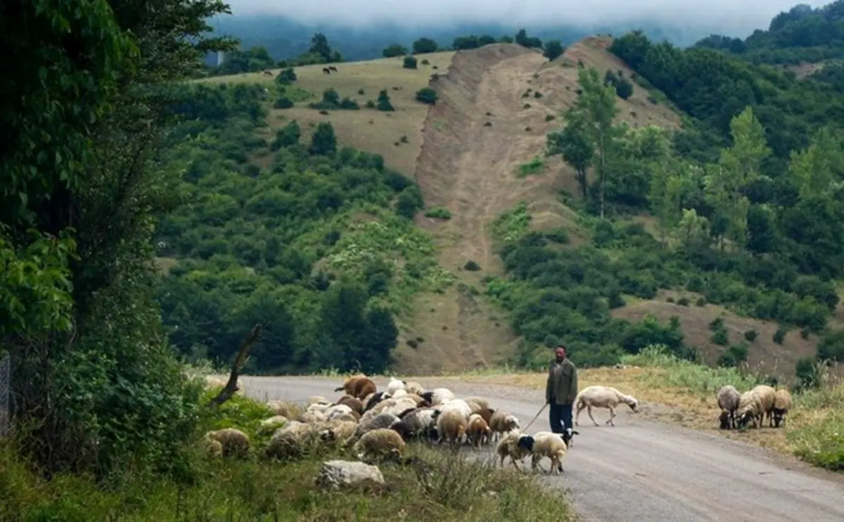 طبیعت زیبای داماش گیلان