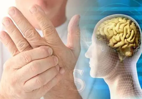 از این علائم ساده هشداردهنده ام اس غافل نشوید