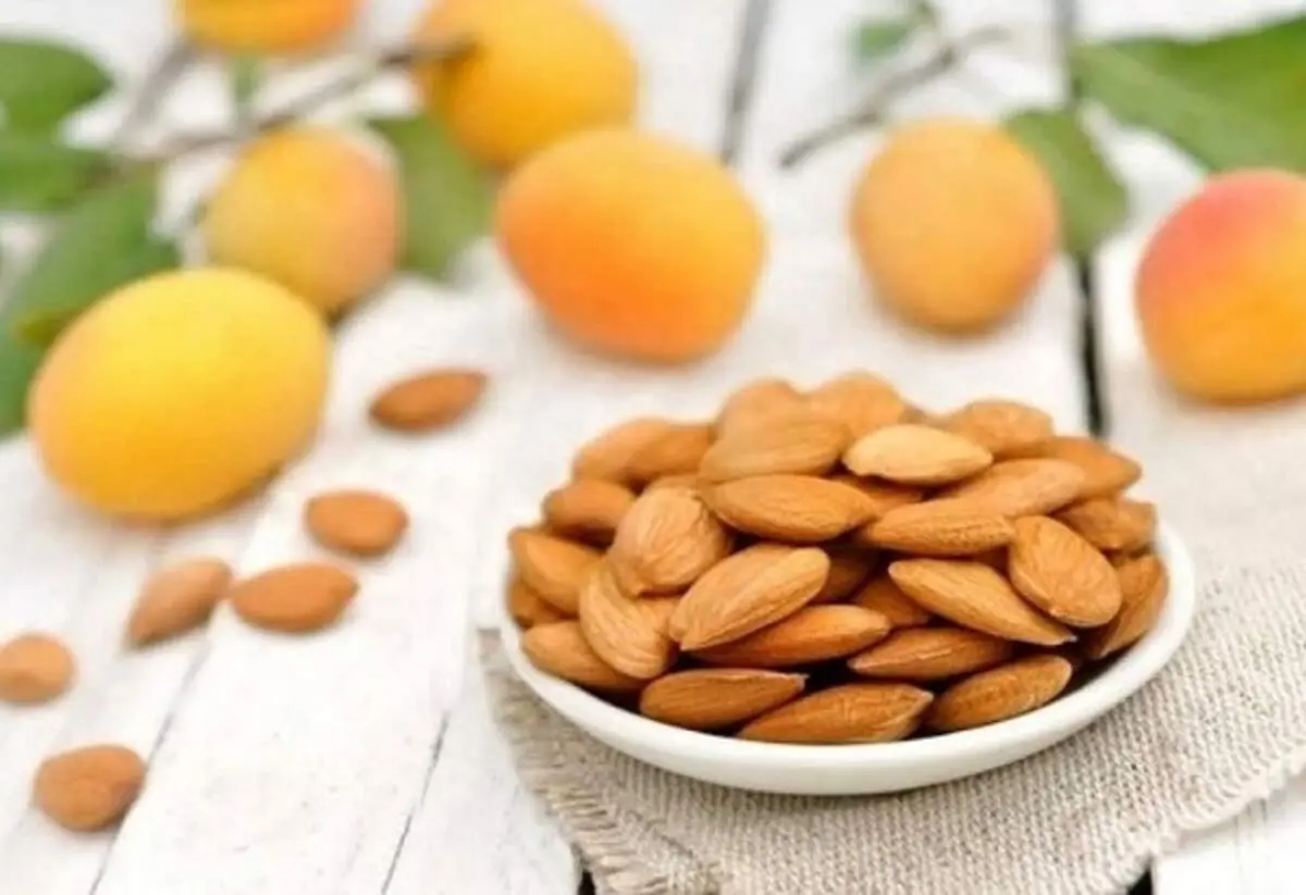 حقایق علمی حیرت انگیز درباره هسته زردآلو