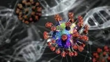 توضیح وزارت بهداشت درباره بیماری "قارچ سیاه" و افراد در معرض خطر آن