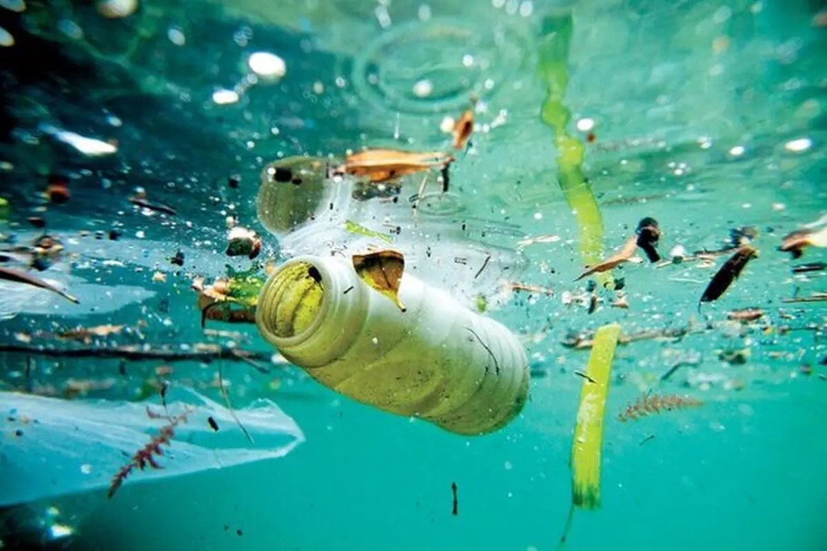 تبدیل زباله های دریا به پوشاک +فیلم