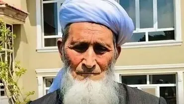 معاون علمای حوزه غرب افغانستان ترور شد