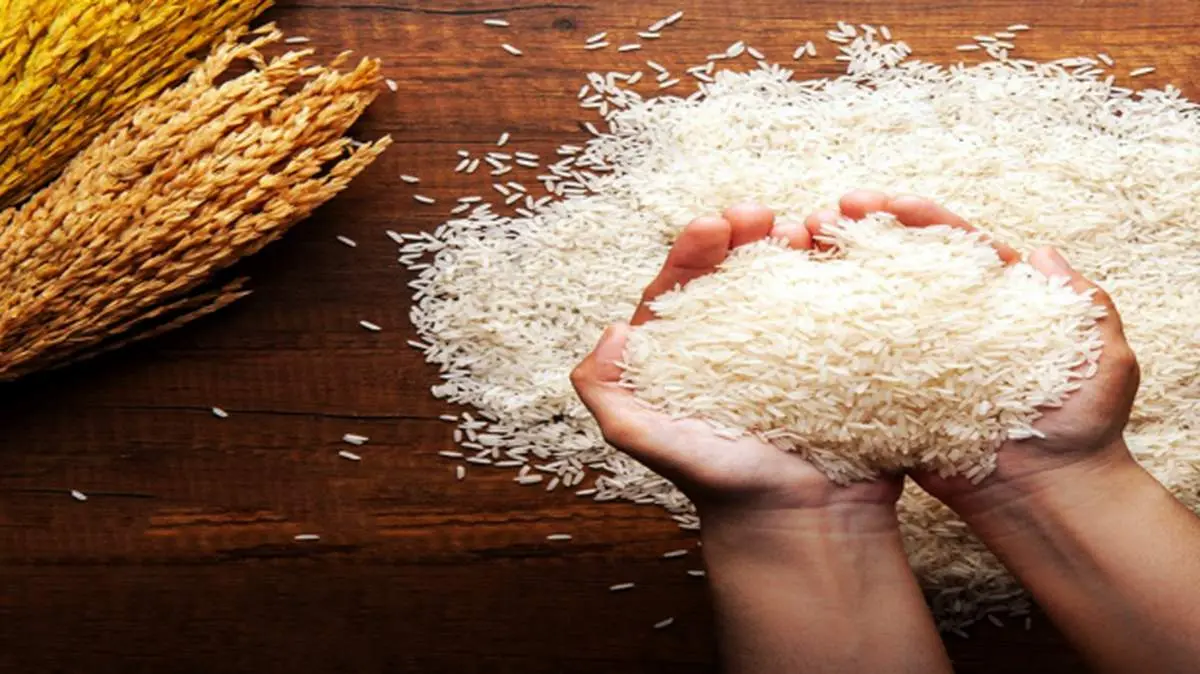چگونه آرسنیک داخل برنج را کاهش دهیم؟