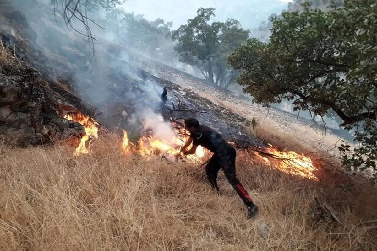 آتش‌سوزی در ۳ هزار هکتار از هورالعظیم / مهار آتش در دو مخزن تالاب