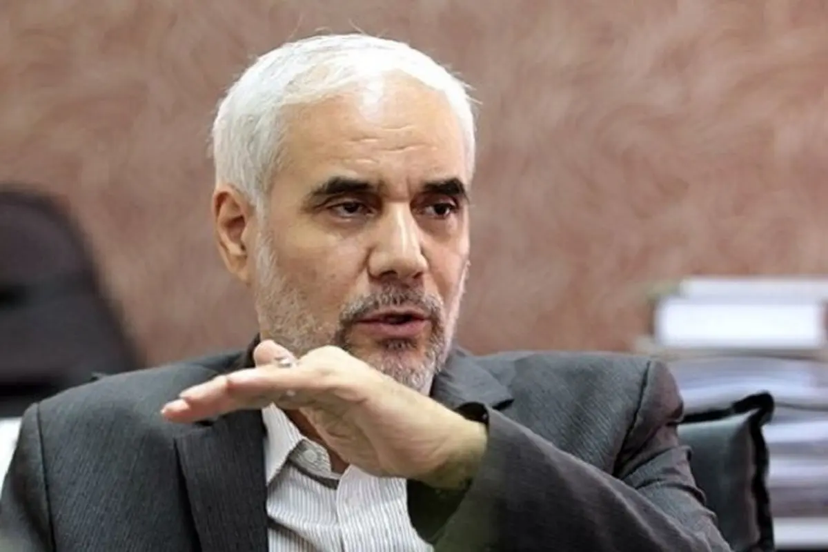 مهرعلیزاده: برنامه اقتصادی آلمان را اجرایی میکنم