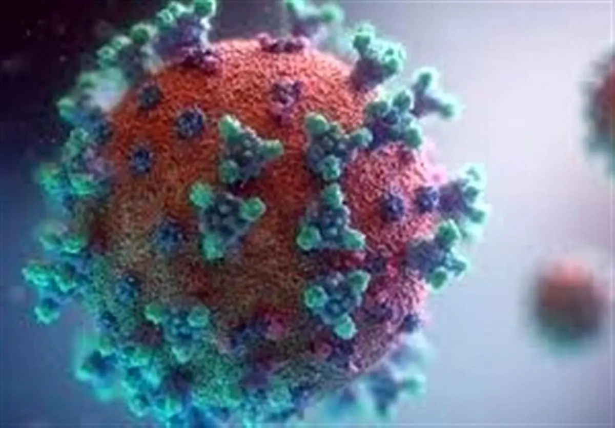 مصونیت نسبی ۱۰ ماهه در مقابل ابتلای مجدد به ویروس کرونا
