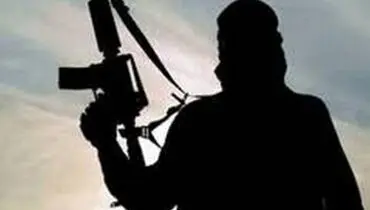 بوکوحرام هلاکت سرکرده این گروهک تروریستی را تأیید کرد