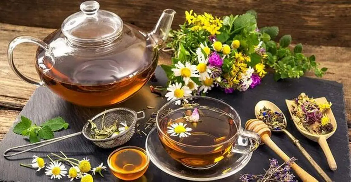 دمنوش‌های مناسب برای پاکسازی کلیه‌ ها