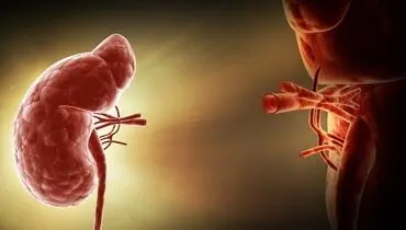 علائم قبل و بعد از پیوند کلیه چیست؟
