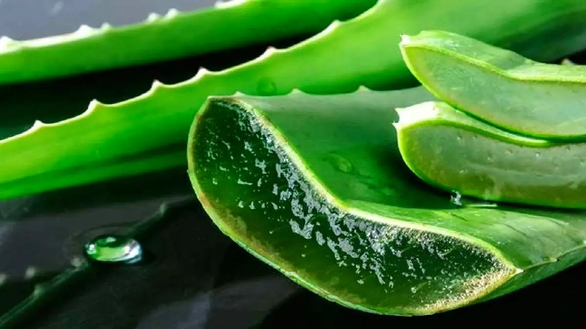 ماسک گیاهی برای تقویت و رشد موها