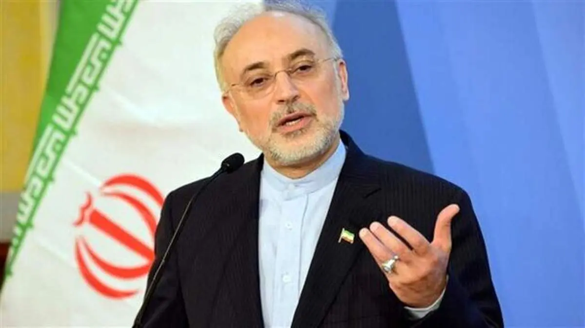 علت کُند شدن روند تکمیل نیروگاههای ۲ و ۳ بوشهر اعلام شد