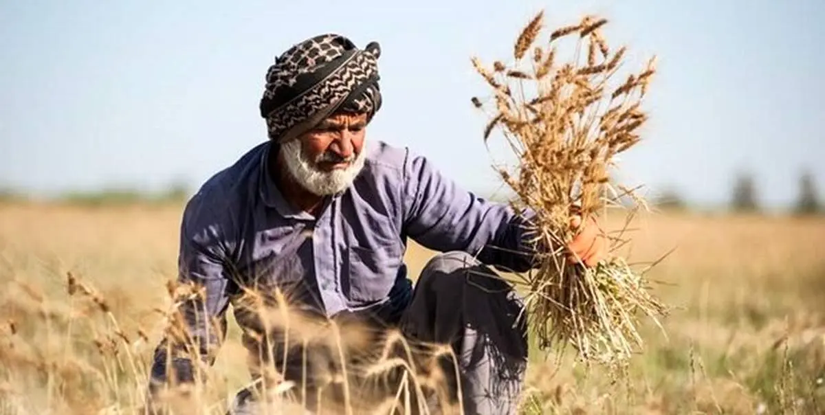 ویژگی های وزیر جهاد کشاورزی دولت سیزدهم+فیلم