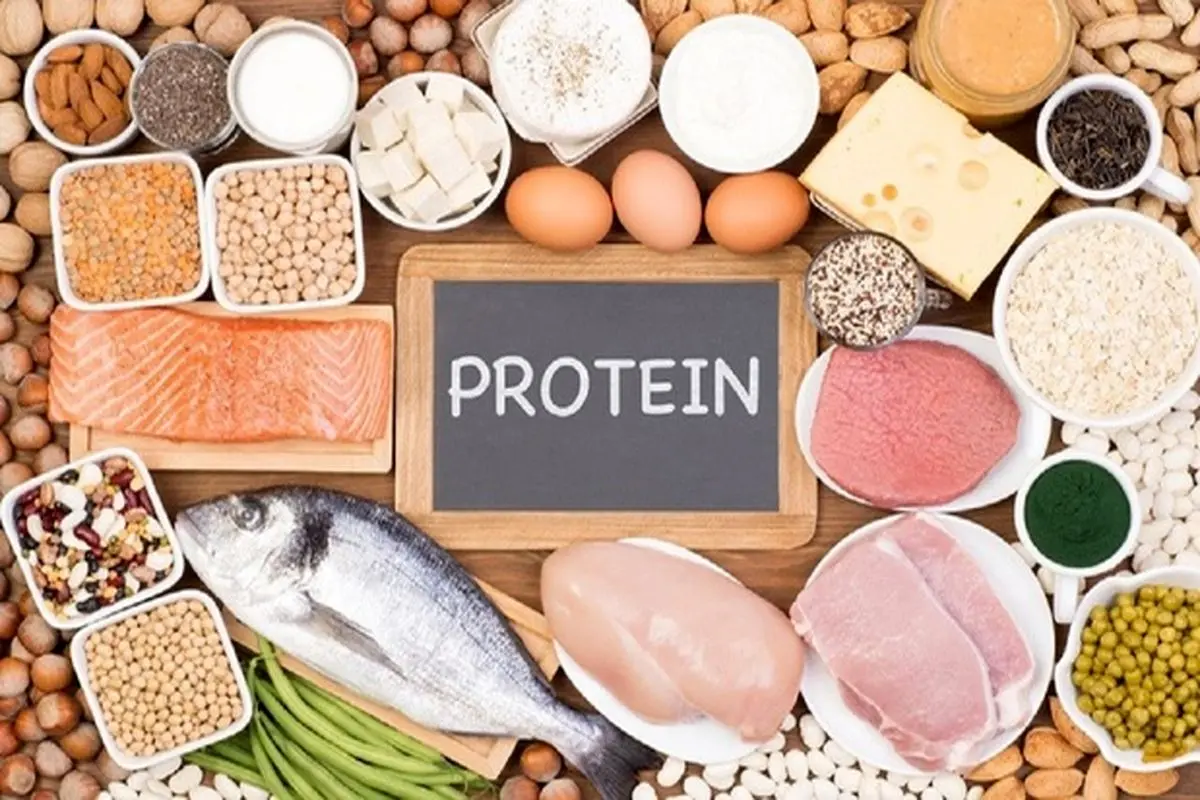 بدن به چه میزان پروتئین نیازمند است؟