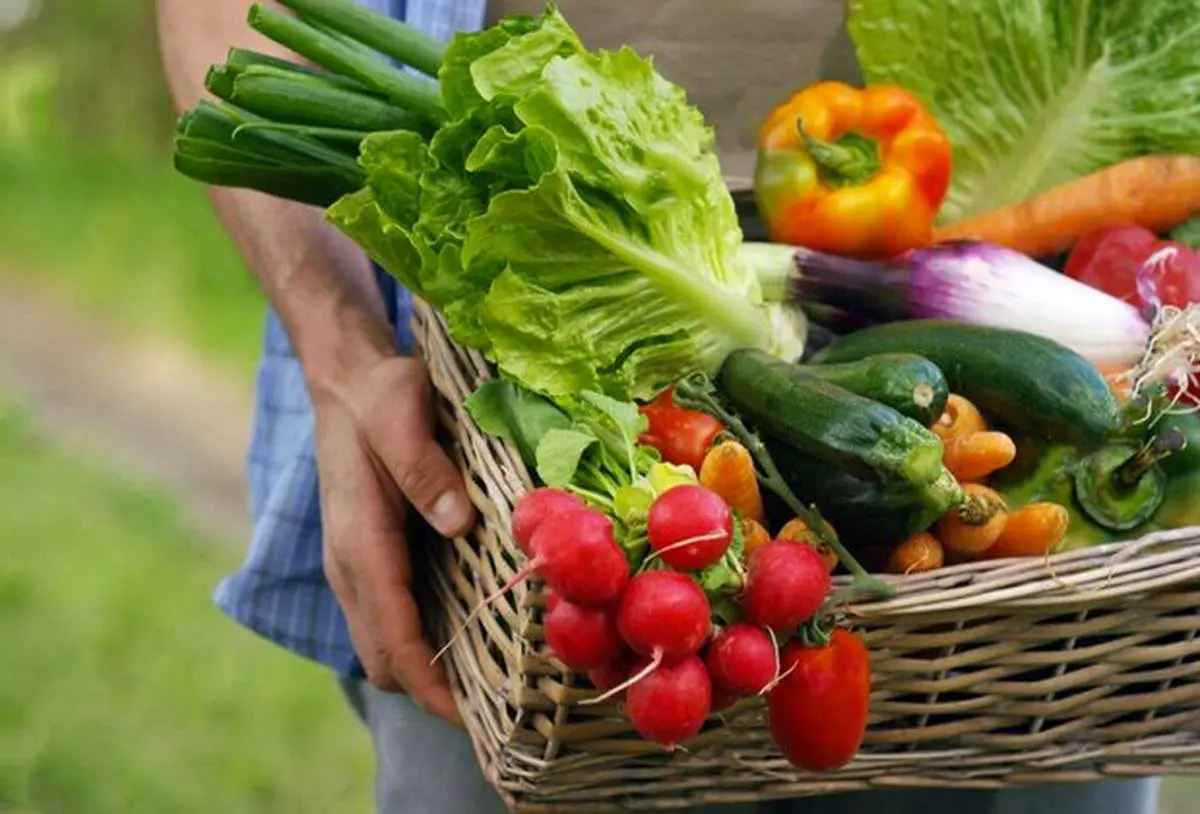 میوه و سبزیجات در پیشگیری و کنترل این بیماریها نقش موثر دارند
