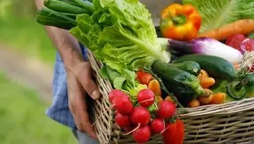 میوه و سبزیجات در پیشگیری و کنترل این بیماری‌ها نقش موثر دارند