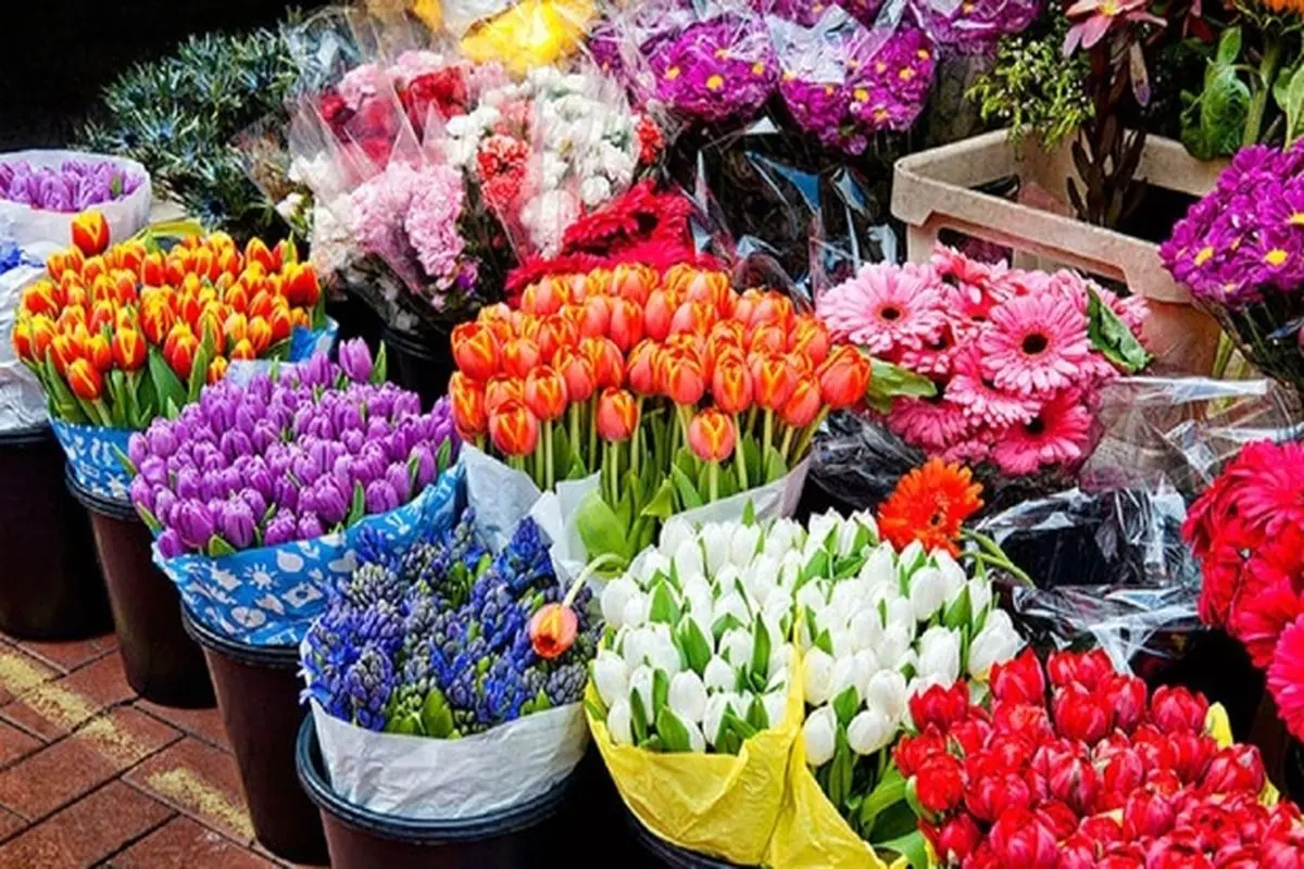 راز و رمز خرید و نگهداری از گلهای شاخه بریده