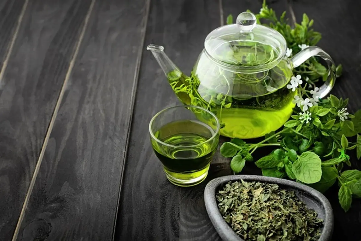 همه چیز درباره مصرف چای سبز برای لاغری/ بهترین زمان مصرف چای سبز