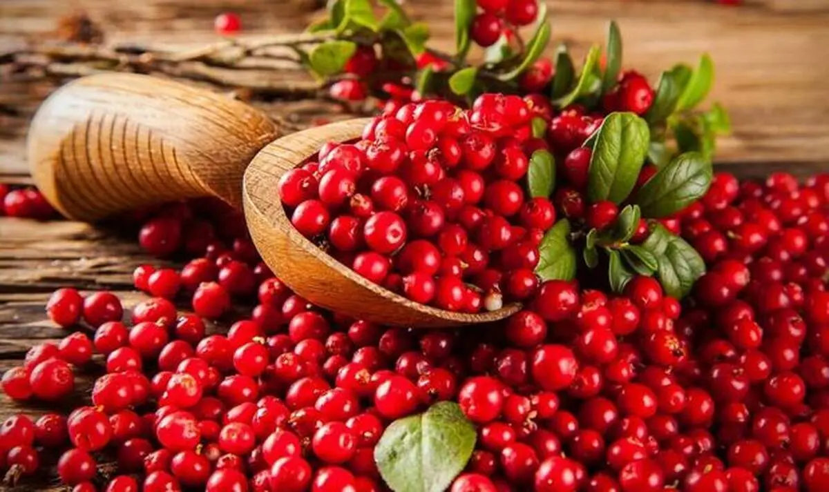 خوراکی هایی که خستگی را از بین می برند
