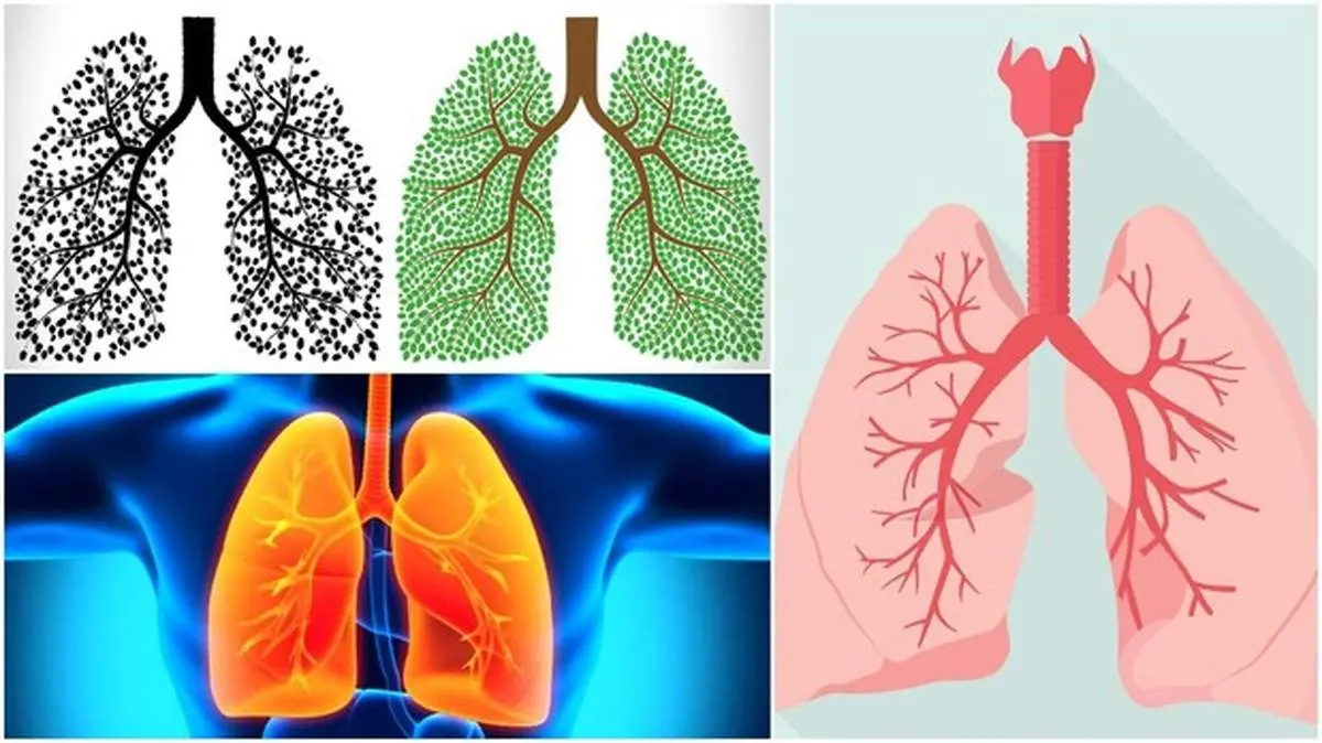 چگونه ریه‌ها را در ۷۲ ساعت پاکسازی کنیم؟