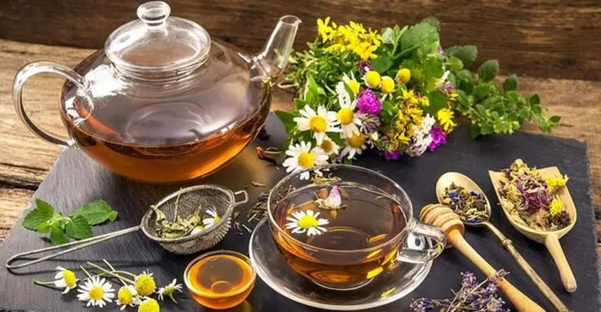 بهترین دمنوش‌های تابستانی برای حفظ سلامت