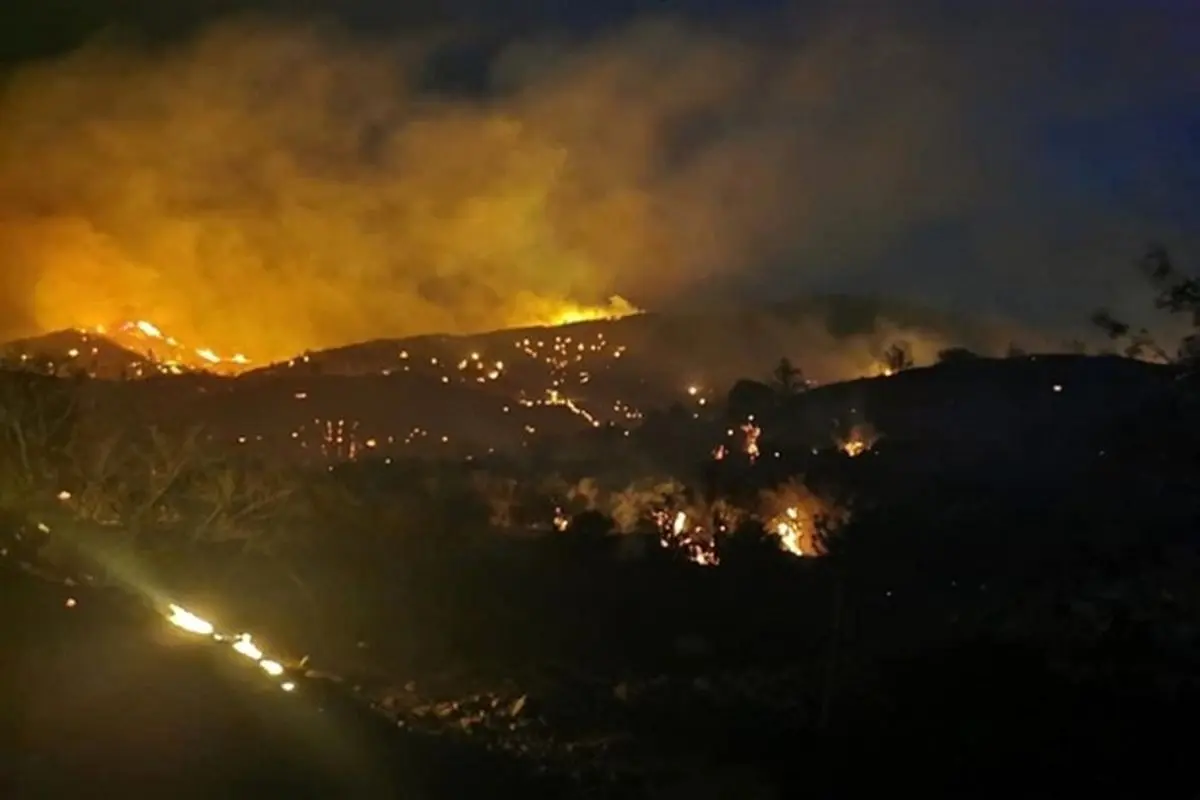 پیشروی آتش سوزی در جنگل‎ های قبرس؛ شماری کشته شدند + فیلم
