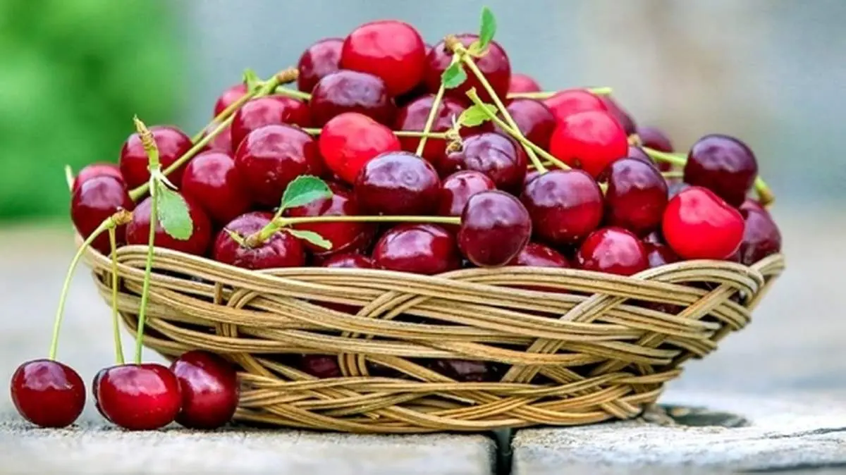 مصرف روزانه گیلاس باعث چه تغییراتی در بدن میشود؟