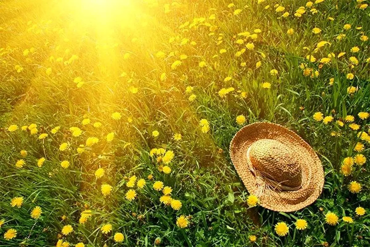 با داغی تابستان و عصرهای کشدار آن چه کنیم؟