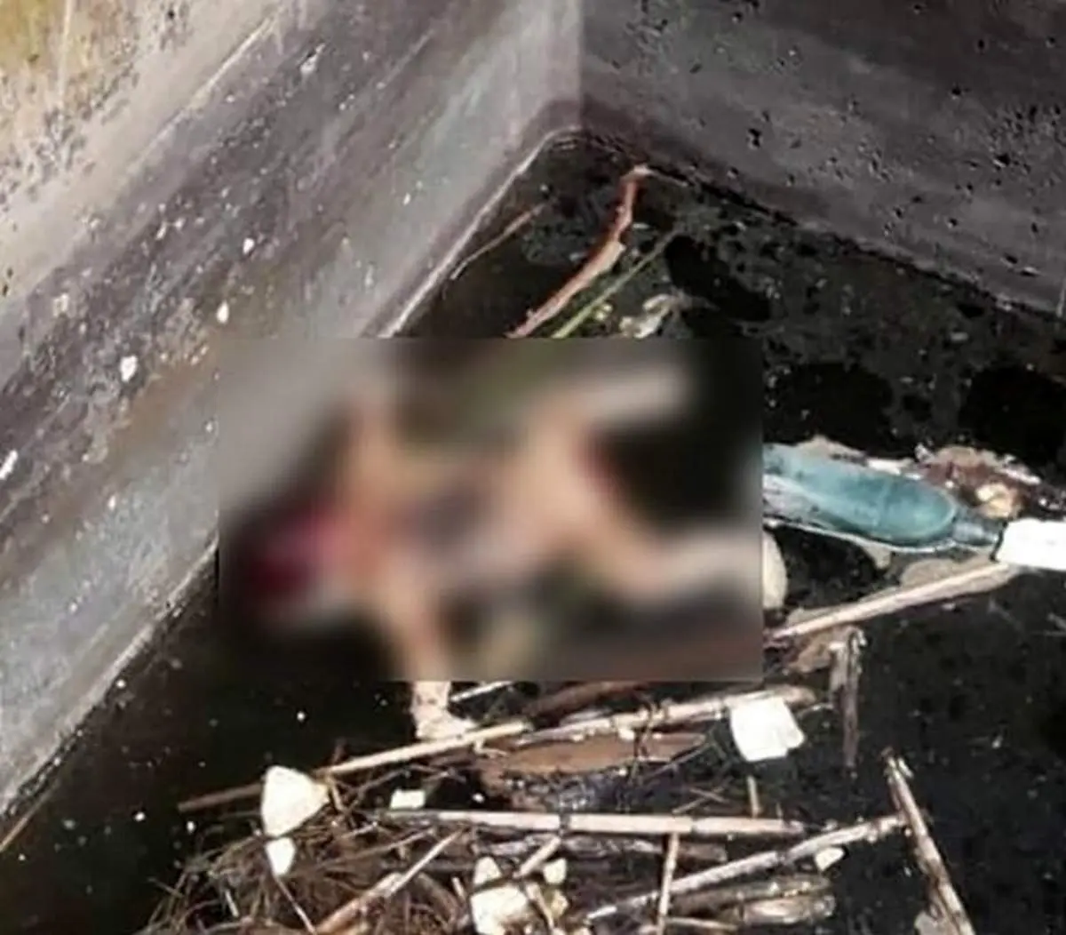 جسد نوزاد تازه به دنیا آمده در پارس‌آباد کشف شد