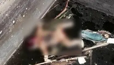 جسد نوزاد تازه به دنیا آمده در پارس‌آباد کشف شد