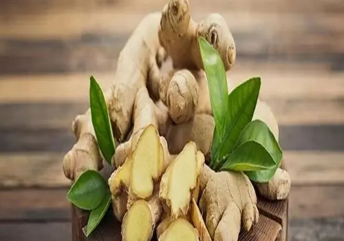 حساسیت غذایی چیست و چه نشانه‌هایی دارد؟
