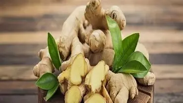 آشنایی با مواد غذایی ضد نفخ