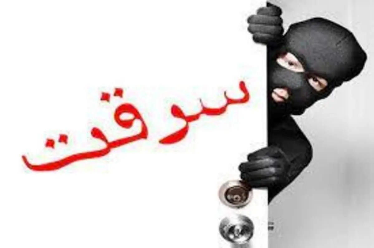 کتک خوردن یک سارق با چماق صاحبخانه روی دیوار+فیلم