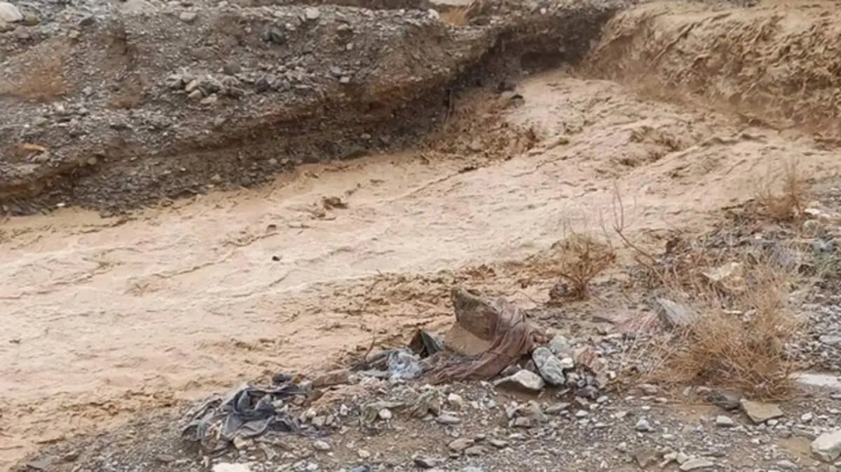 خسارات سیل در روستای داهوییه زرند کرمان+فیلم