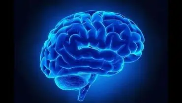 پیشنهاداتی برای فعال نگه داشتن حافظه با افزایش سن