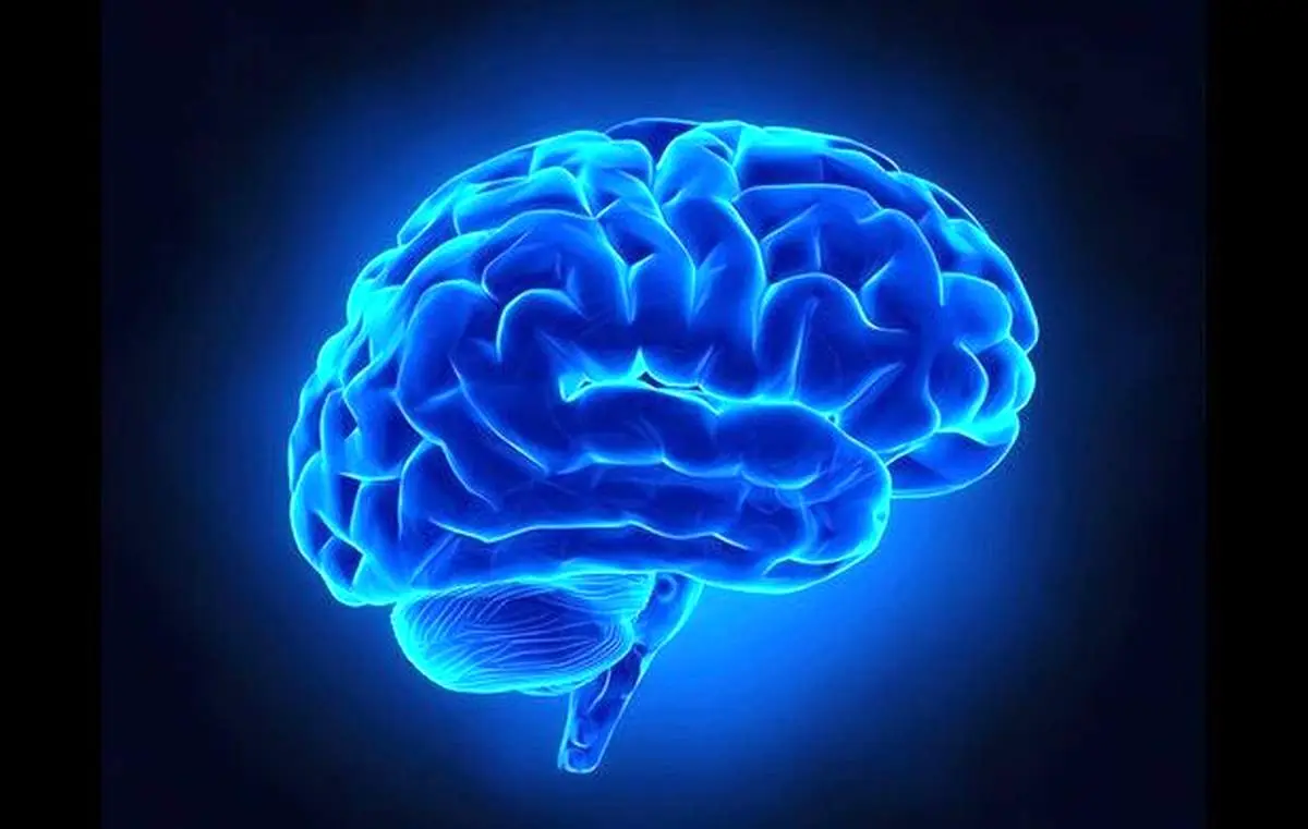 پیشنهاداتی برای فعال نگه داشتن حافظه با افزایش سن